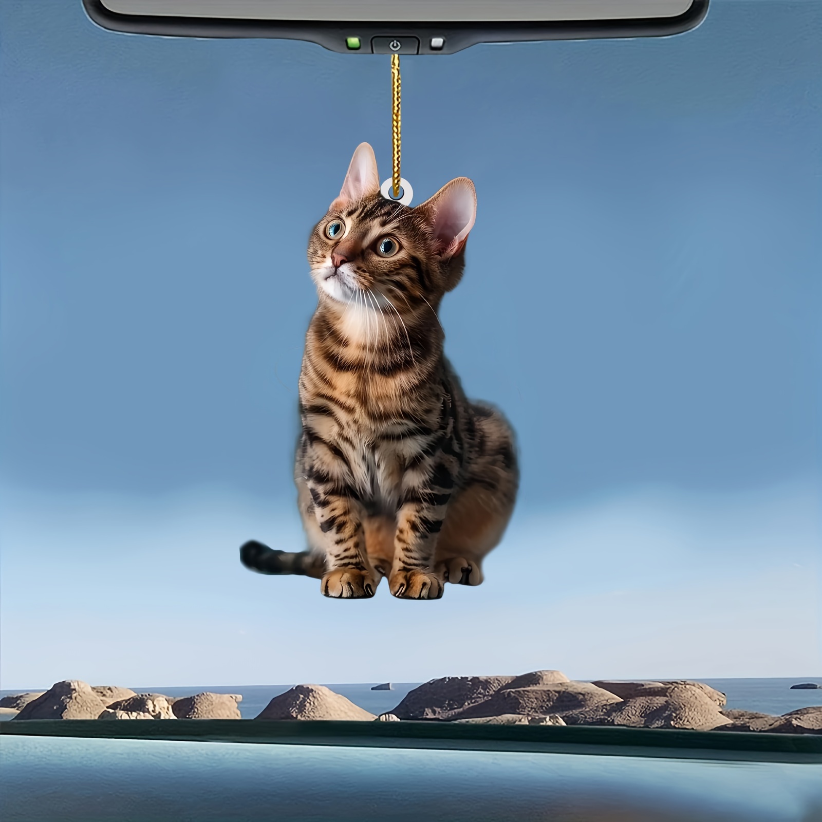 3 stücke 2D Flache Katze Acryl – Car Accessories Oman Bewertung und Preis
