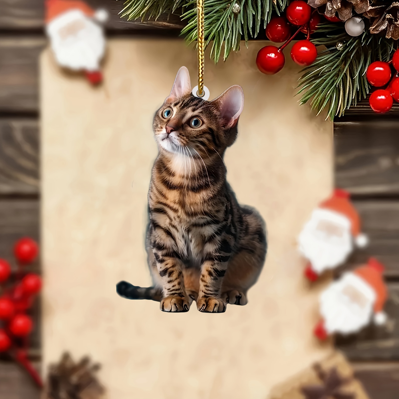 3 stücke 2D Flache Katze Acryl – Car Accessories Oman Bewertung und Preis